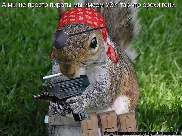 Котоматрица: А мы не просто пираты мы имеем УЗИ так-что орехи гони.