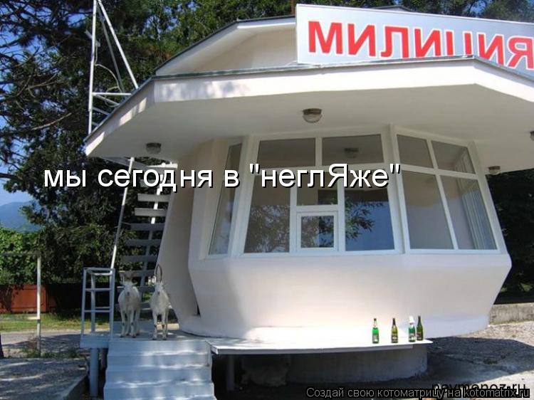 мы сегодня в "неглЯже"... Котоматрица: мы сегодня в "неглЯже"