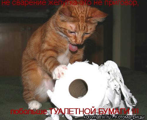 не сварение желутка-это не приговор не сварение желутка-это не приговор, побольше ТУАЛЕТНОЙ БУМАГИ !!... Котоматрица: не сварение желутка-это не приговор не сварение желутка-это не приговор, побольше ТУАЛЕТНОЙ БУМАГИ !!! побольше ТУАЛЕТНОЙ БУМАГИ !!!