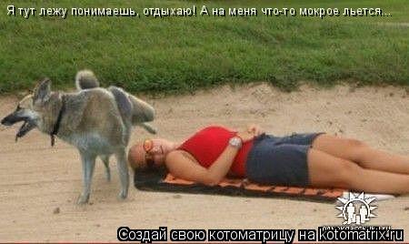 Я тут лежу понимаешь, отдыхаю! А на меня что-то мокрое льется...... Котоматрица: Я тут лежу понимаешь, отдыхаю! А на меня что-то мокрое льется...