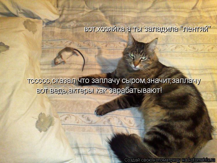 вот,хозяйка,а ты заладила "лентяй" тссссс,сказал что заплачу сыром,значит,заплачу вот ведь,актеры как... Котоматрица: вот,хозяйка,а ты заладила "лентяй" тссссс,сказал что заплачу сыром,значит,заплачу вот ведь,актеры как зарабатывают!
