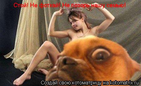 Стой! Не фоткай! Не позорь нашу семью!... Котоматрица: Стой! Не фоткай! Не позорь нашу семью!