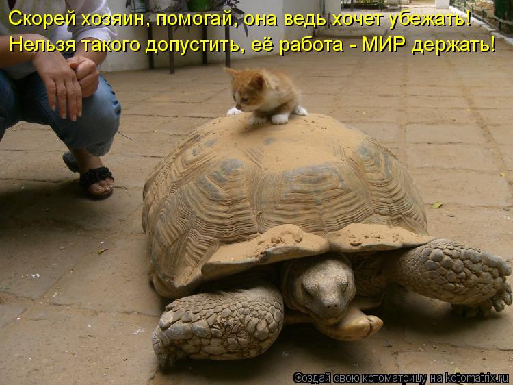 Скорей хозяин, помогай, она ведь хочет убежать! Нельзя такого допустить, её работа - МИР держать!... Котоматрица: Скорей хозяин, помогай, она ведь хочет убежать! Нельзя такого допустить, её работа - МИР держать!