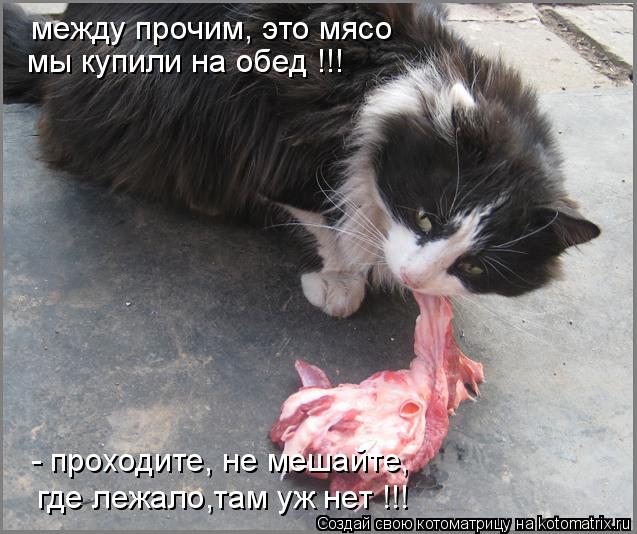 - проходите, не мешайте, где лежало,там уж нет !!! между прочим, это мясо мы купили на обед !!!... Котоматрица: - проходите, не мешайте, где лежало,там уж нет !!! между прочим, это мясо мы купили на обед !!!