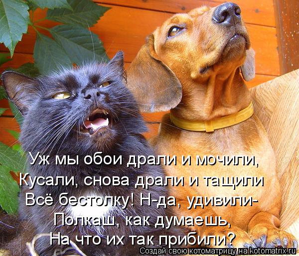 Уж мы обои драли и мочили, Кусали, снова драли и тащили Всё бестолку! Н-да, удивили- Полкаш, как дума... Котоматрица: Уж мы обои драли и мочили, Кусали, снова драли и тащили Всё бестолку! Н-да, удивили- Полкаш, как думаешь, На что их так прибили?