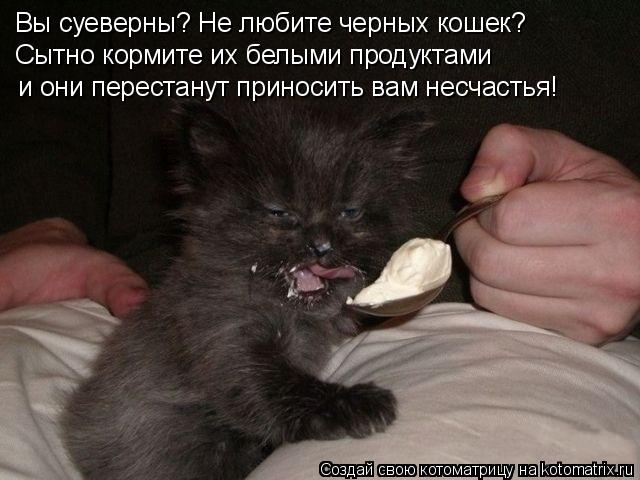 Вы суеверны? Не любите черных кошек? Сытно кормите их белыми продуктами и они перестанут приносить ... Котоматрица: Вы суеверны? Не любите черных кошек? Сытно кормите их белыми продуктами и они перестанут приносить вам несчастья!