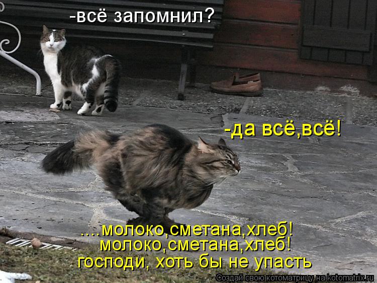 http://kotomatrix.ru/images/lolz/2011/06/08/925567.jpg