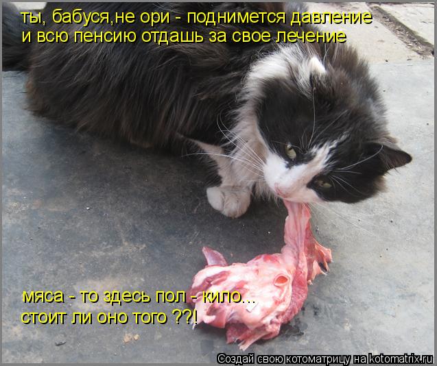 Котоматрица: ты, бабуся,не ори - поднимется давление и всю пенсию отдашь за свое лечение мяса - то здесь пол - кило... стоит ли оно того ??!