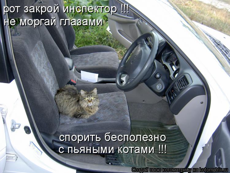 Котоматрица: рот закрой инспектор !!! не моргай глазами спорить бесполезно с пьяными котами !!!