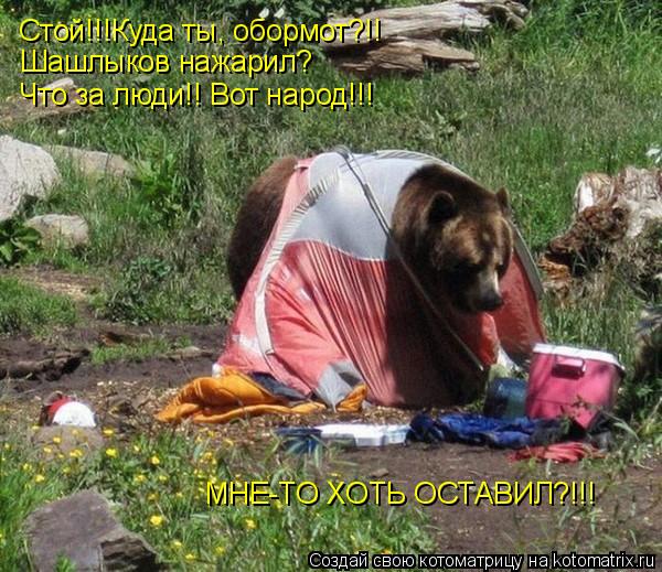 Котоматрица: Стой!!!Куда ты, обормот?!! Шашлыков нажарил? Что за люди!! Вот народ!!! МНЕ-ТО ХОТЬ ОСТАВИЛ?!!!