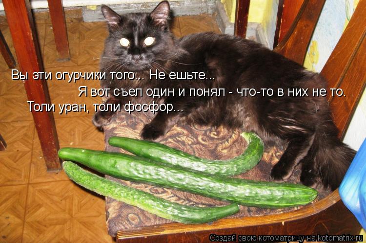 Котоматрица: Вы эти огурчики того... Не ешьте... Я вот съел один и понял - что-то в них не то. Толи уран, толи фосфор...