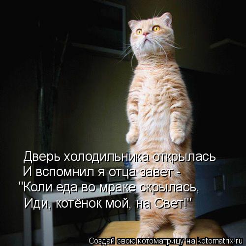 Дверь холодильника открылась И вспомнил я отца завет - "Коли еда во мраке скрылась, Иди, котёнок мой,... Котоматрица: Дверь холодильника открылась И вспомнил я отца завет - "Коли еда во мраке скрылась, Иди, котёнок мой, на Свет!"