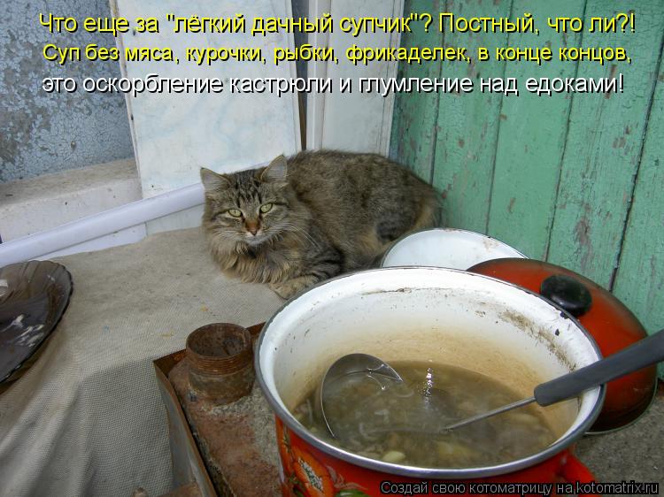 Котоматрица: Что еще за "лёгкий дачный супчик"? Постный, что ли?! Суп без мяса, курочки, рыбки, фрикаделек, в конце концов, это оскорбление кастрюли и глумле