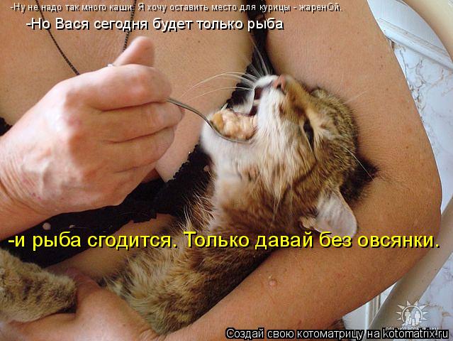 Котоматрица: -Ну не надо так много каши. Я хочу оставить место для курицы - жаренОй. -Но Вася сегодня будет только рыба -и рыба сгодится. Только давай без ов
