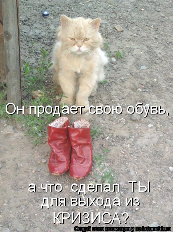 Котоматрица: Он продает свою обувь, а что  сделал  ТЫ для выхода из  КРИЗИСА?