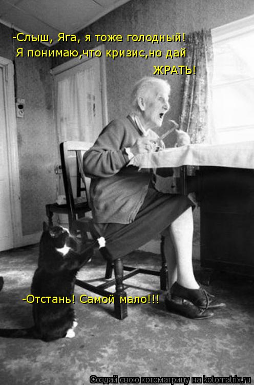 Котоматрица: -Слыш, Яга, я тоже голодный!  Я понимаю,что кризис,но дай    ЖРАТЬ! -Отстань! Самой мало!!!