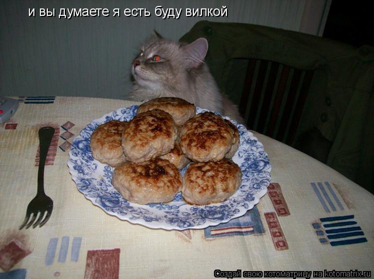Котоматрица: и вы думаете я есть буду вилкой