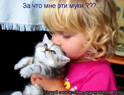 Котоматрица: За что мне эти муки ??? ...