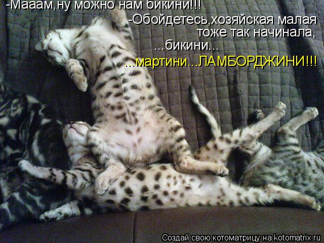 Котоматрица: -Мааам,ну можно нам бикини!!! -Обойдетесь,хозяйская малая  тоже так начинала,  ...бикини... ...мартини...ЛАМБОРДЖИНИ!!!