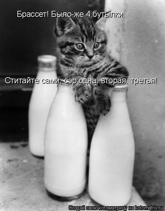 Котоматрица: Брассет! Было-же 4 бутылки. Ститайте сами, сэр одна, вторая, третья!