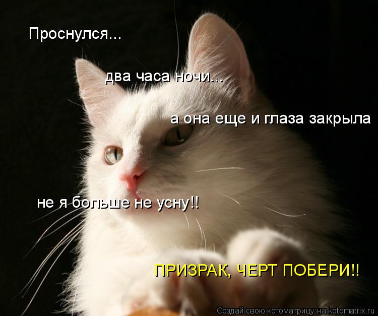 Котоматрица: Проснулся... два часа ночи... а она еще и глаза закрыла не я больше не усну!!  ПРИЗРАК, ЧЕРТ ПОБЕРИ!!