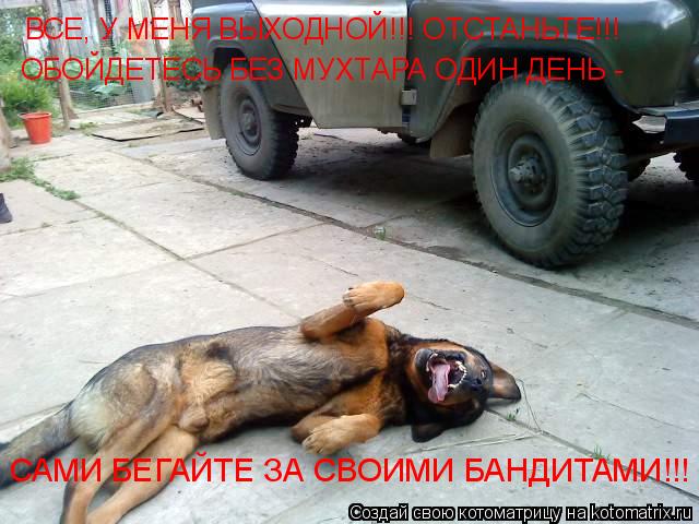 Котоматрица: ВСЕ, У МЕНЯ ВЫХОДНОЙ!!! ОТСТАНЬТЕ!!! ОБОЙДЕТЕСЬ БЕЗ МУХТАРА ОДИН ДЕНЬ - САМИ БЕГАЙТЕ ЗА СВОИМИ БАНДИТАМИ!!!