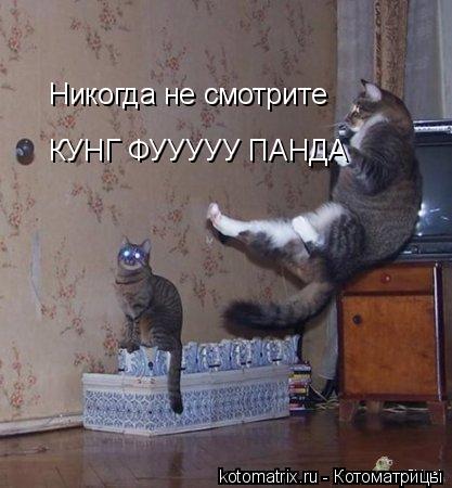 Котоматрица: Никогда не смотрите  КУНГ ФУУУУУ ПАНДА
