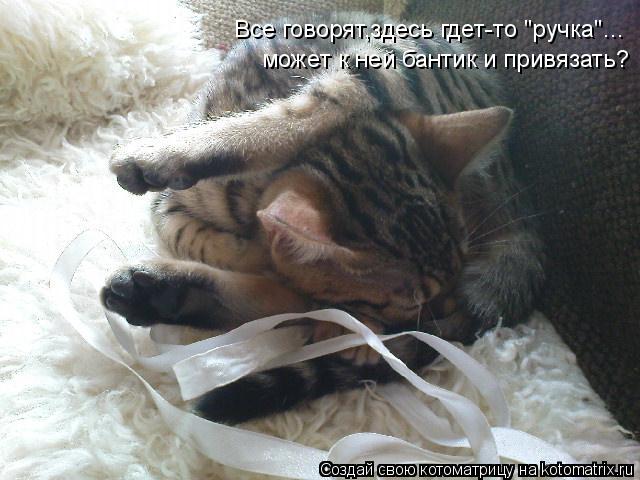 Котоматрица: Все говорят,здесь гдет-то "ручка"... может к ней бантик и привязать?
