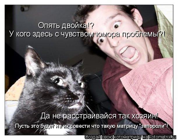 Котоматрица: Опять двойка!? У кого здесь с чувством юмора проблемы?! Да не расстраивайся так хозяин! Пусть это будет на их совести что такую матрицу "запор