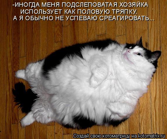 Котоматрица: -ИНОГДА МЕНЯ ПОДСЛЕПОВАТАЯ ХОЗЯЙКА  ИСПОЛЬЗУЕТ КАК ПОЛОВУЮ ТРЯПКУ.  А Я ОБЫЧНО НЕ УСПЕВАЮ СРЕАГИРОВАТЬ...