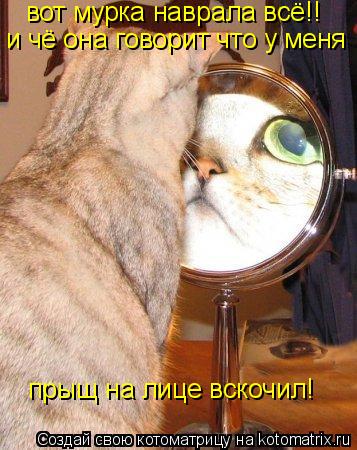 Котоматрица: вот мурка наврала всё!! и чё она говорит что у меня  прыщ на лице вскочил!