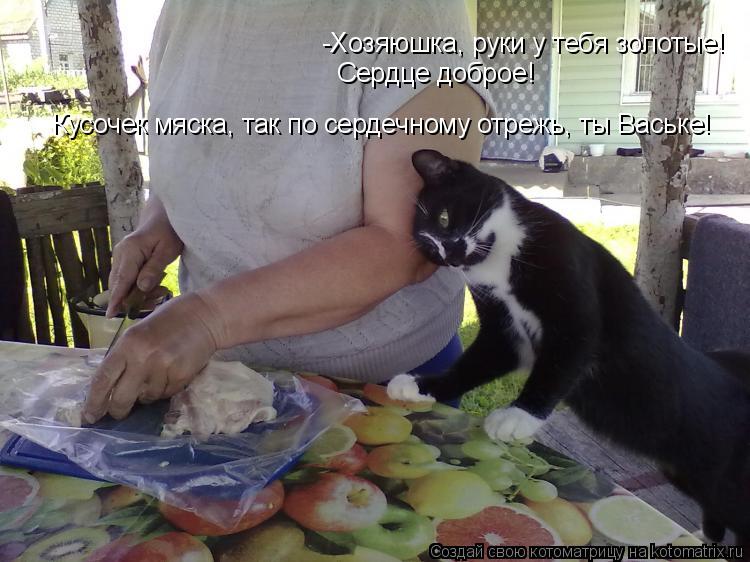 Котоматрица: -Хозяюшка, руки у тебя золотые! Сердце доброе! Кусочек мяска, так по сердечному отрежь, ты Ваське!