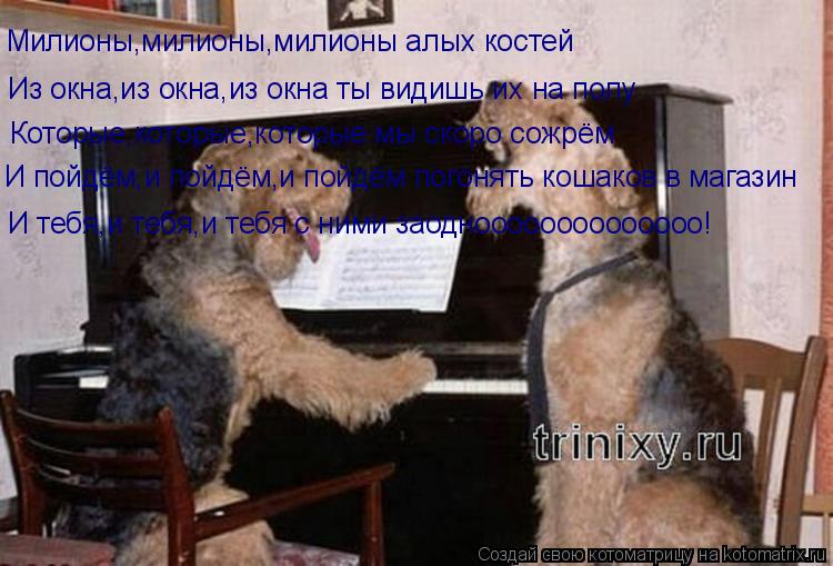 Котоматрица: Милионы,милионы,милионы алых костей Из окна,из окна,из окна ты видишь их на полу Которые,которые,которые мы скоро сожрём И пойдём,и пойдём,и 