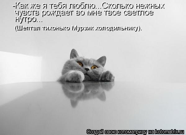Котоматрица: -Как же я тебя люблю...Сколько нежных  чувств рождает во мне твое светлое нутро... нутро... (Шептал тихонько Мурзик холодильнику).