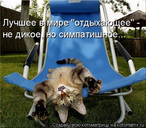 Котоматрица: Лучшее в мире "отдыхающее" - не дикое, но симпатишное...