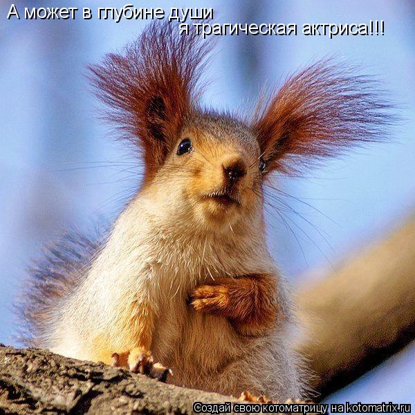 Котоматрица: А может в глубине души  я трагическая актриса!!!