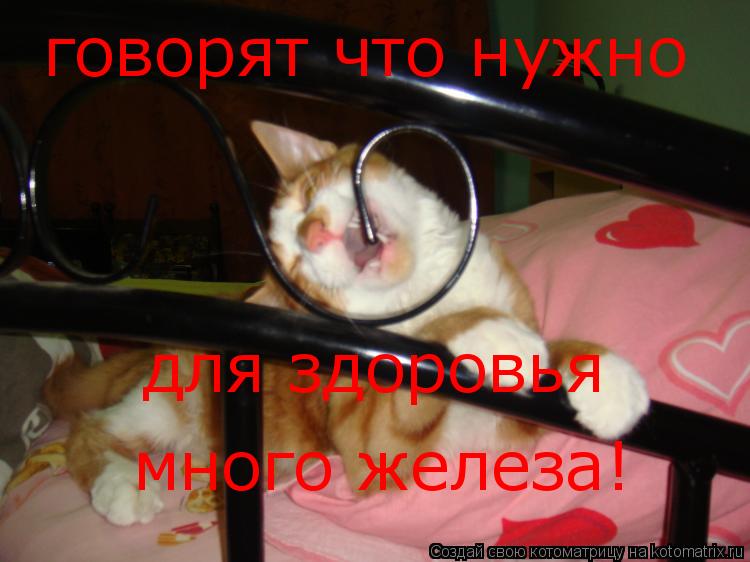 Котоматрица: говорят что нужно для здоровья много железа!