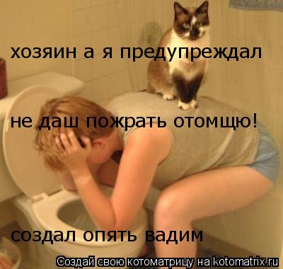 Котоматрица: хозяин а я предупреждал не даш пожрать отомщю! создал опять вадим