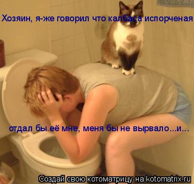 Котоматрица: Хозяин, я-же говорил что калбаса испорченая отдал бы её мне, меня бы не вырвало...и...
