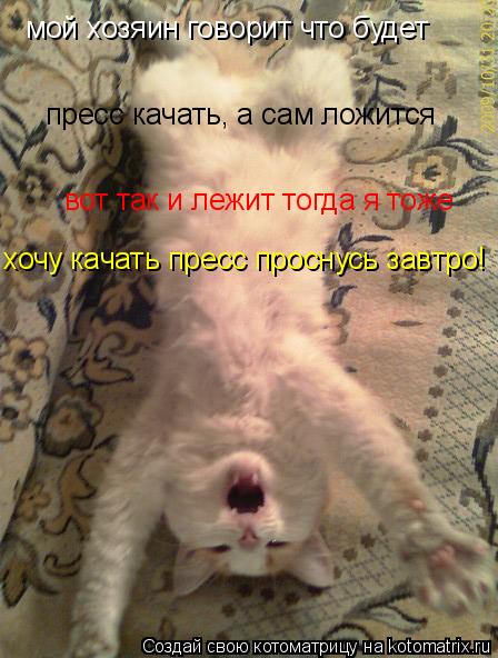 Котоматрица: мой хозяин говорит что будет  пресс качать, а сам ложится вот так и лежит тогда я тоже хочу качать пресс проснусь завтро!