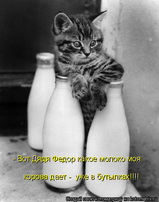 Котоматрица: - Вот Дядя Федор какое молоко моя  корова дает -  уже в бутылках!!!!