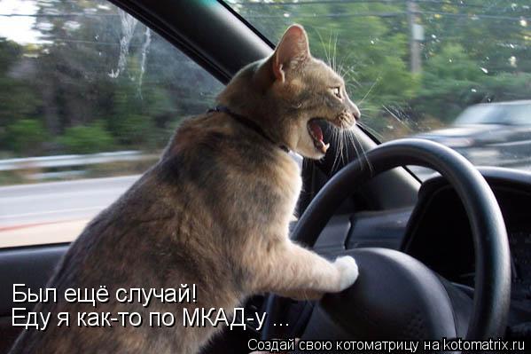 Котоматрица: Был ещё случай! Еду я как-то по МКАД-у ...