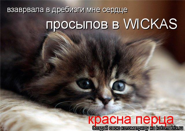 Котоматрица: взаврвала в дребизги мне сердце просыпов в WICKAS красна перца