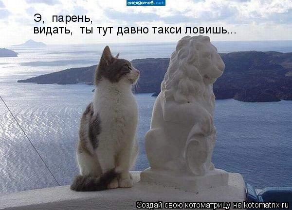 Э, парень, видать, ты тут давно такси ловишь...... Котоматрица: Э, парень, видать, ты тут давно такси ловишь...