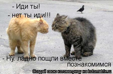 Котоматрица: - Иди ты! - нет ты иди!!! - Ну. ладно пощли вместе познакомимся