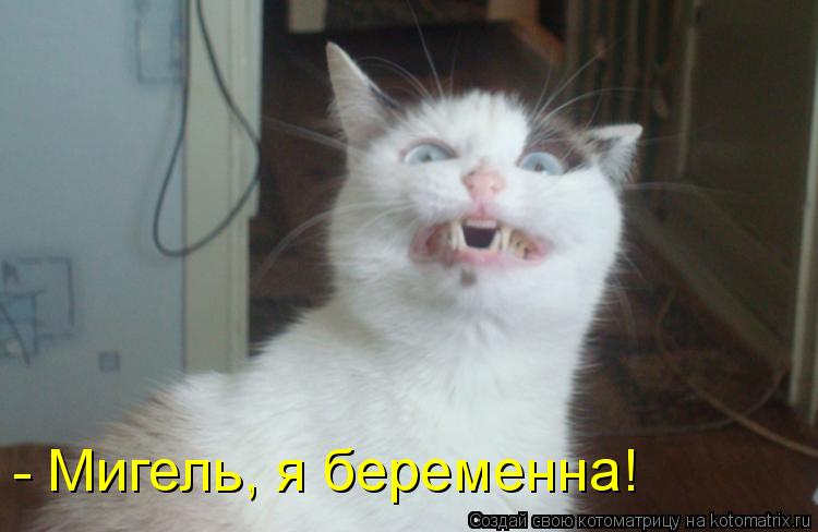 Котоматрица: - Мигель, я беременна!
