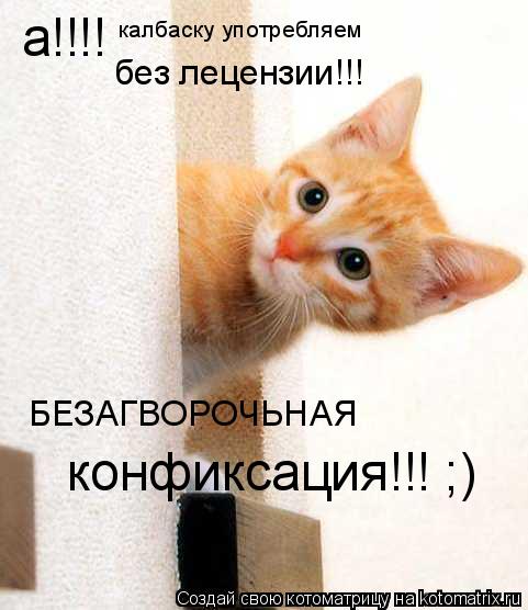 Котоматрица: а!!!! калбаску употребляем без лецензии!!! БЕЗАГВОРОЧЬНАЯ конфиксация!!! ;)