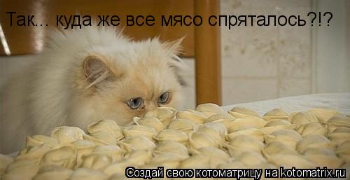 Котоматрица: Так... куда же все мясо спряталось?!?