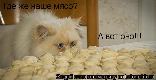 Котоматрица: Где же наше мясо? А вот оно!!!