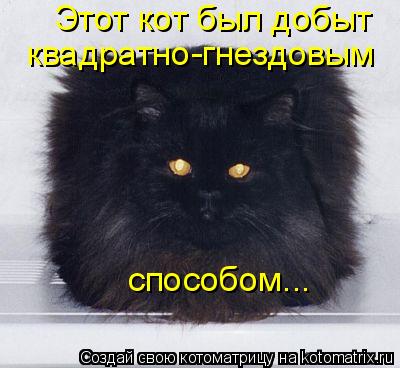 Котоматрица: Этот кот был добыт квадратно-гнездовым способом...